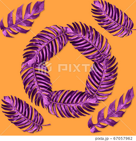 green monstera leaves pattern are made violet for green monstera leaves pattern are made violet for 67057962