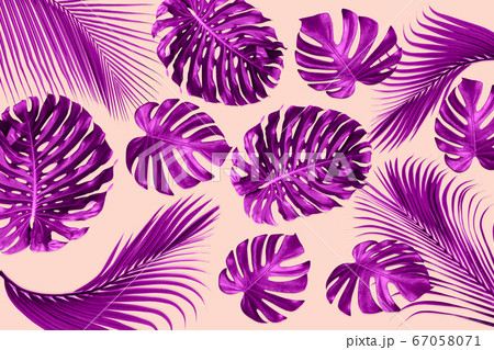 green monstera and palm leaves pattern are made green monstera and palm leaves pattern are made 67058071