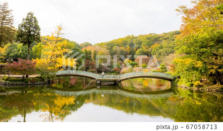 The romatic scence in the park which show the Japanes traditional bridge and beautiful reflection at Yakushiike Park in Machida, Tokyo Japan 67058713
