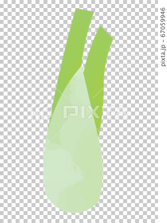 マコモのイラストのイラスト素材