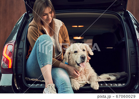 Young woman with golden retriever sit in open trunk of black car 67060029