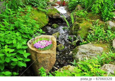 鎌倉市　一条恵観山荘庭園の新緑と流れつくばい 67060320