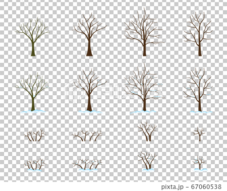 Set of winter trees covered with snow 67060538