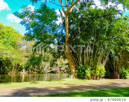 Sir Seewoosagur Ramgoolam Botanical Garden in 67060639