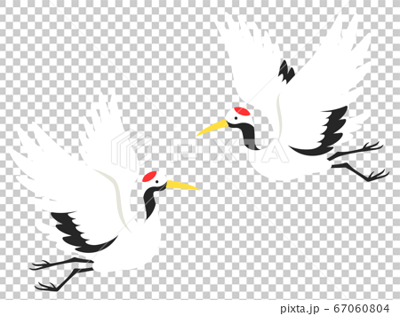 飛んでいる2羽の鶴のイラストのイラスト素材 [67060804] - PIXTA