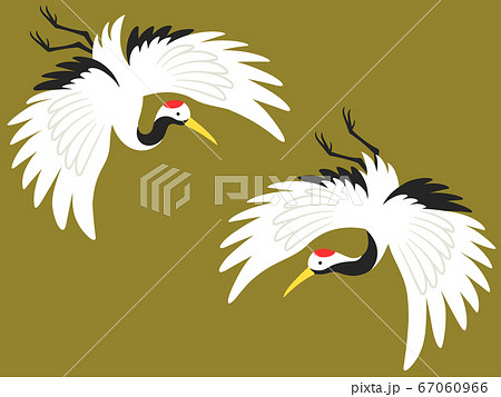 飛んでいる2羽の鶴のイラストのイラスト素材 [67060966] - PIXTA