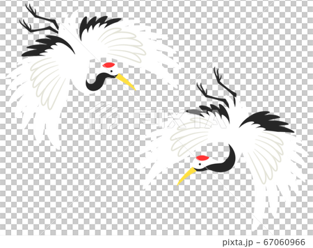 飛んでいる2羽の鶴のイラストのイラスト素材 [67060966] - PIXTA