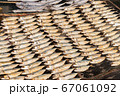 Full frame image of salted Mackerel fish 67061092