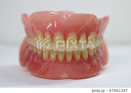 歯 歯 67061397