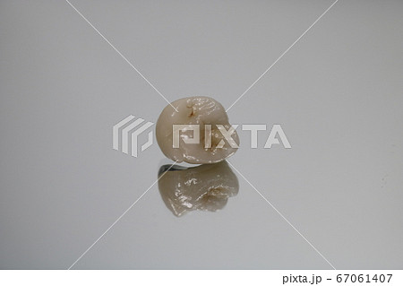 歯 歯 67061407