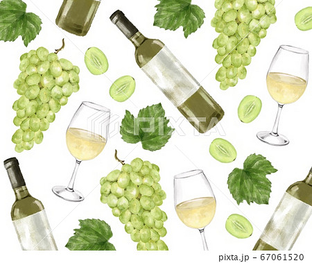 葡萄 白ワイン 柄 水彩風イラストのイラスト素材