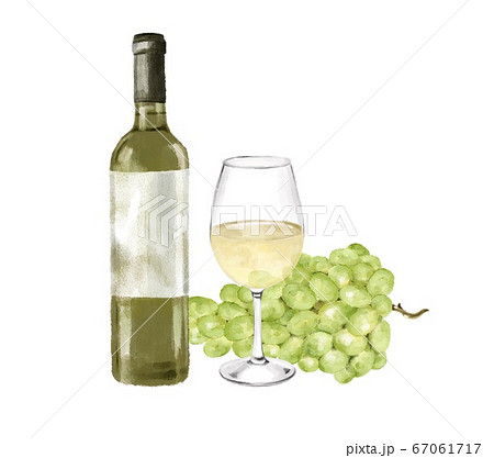 葡萄と白ワイン 水彩風イラストのイラスト素材