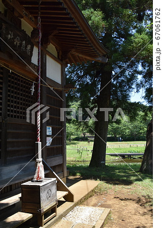 厳島湿生公園　厳島神社　中井町 67061762