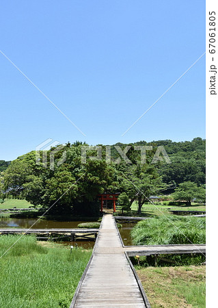厳島湿生公園 中井町 厳島湿生公園 中井町 67061805