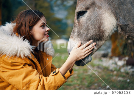 happy woman hugs a donkey in nature close-up 67062158