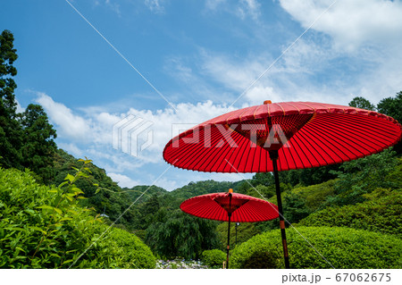 緑に映えるばんから傘　三室戸寺の休憩所 67062675