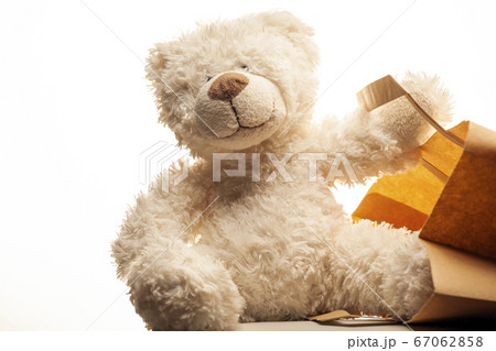 image of toy bear bag white background  67062858