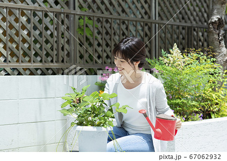 庭 花 植木鉢 ガーデニングの写真素材