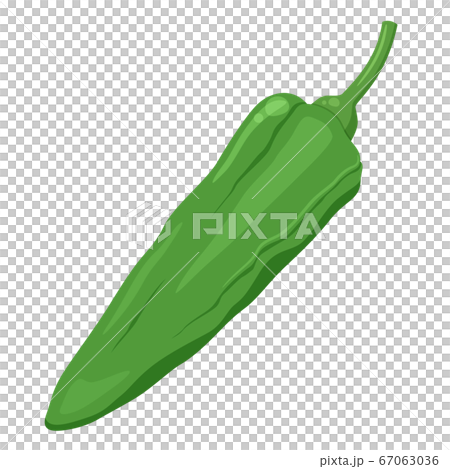 Shishito的插圖 67063036