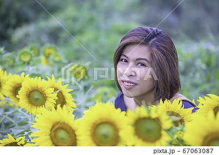 Woman in Yellow Marigold flowers garden or Tagetes erecta in garden Woman in Yellow Marigold flowers garden or Tagetes erecta in garden 67063087