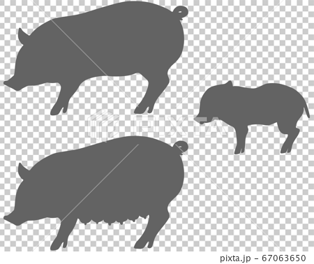 豚 親子 シルエット セット - 家畜 養豚  67063650