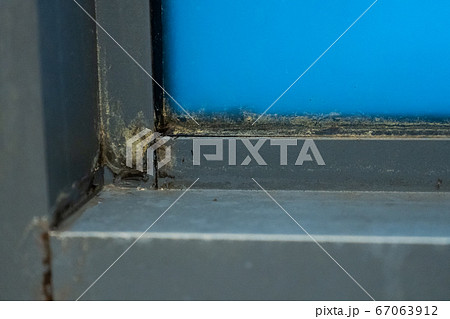Old plastic window frame in the shower. Moldy Old plastic window frame in the shower. Moldy 67063912