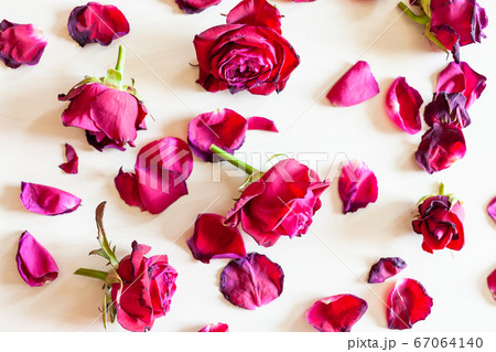 withered red rose flowers on pale wood background 67064140