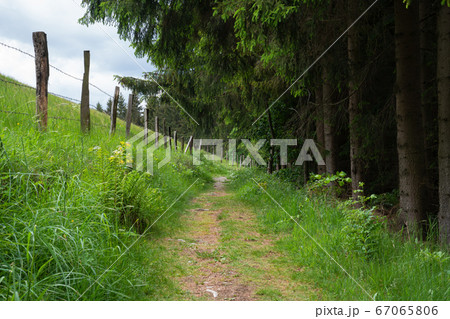 Rothaarsteig, Sauerland, Germany Rothaarsteig, Sauerland, Germany 67065806