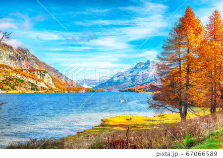 Stunning autumn scene in Swiss Alps and views of 67066589