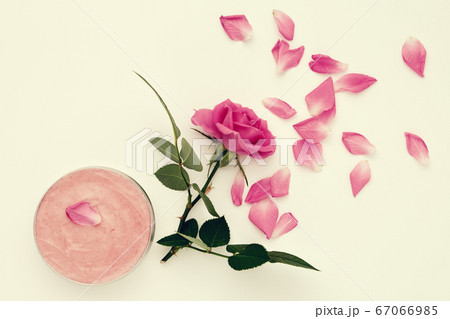 Homemade moisturizing beauty cream and rose flower 67066985
