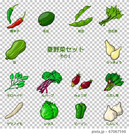 Summer vegetables set 1 Summer vegetables set 1 67067598