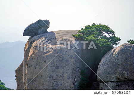 韓国 ソウル市 道峰区 67068134