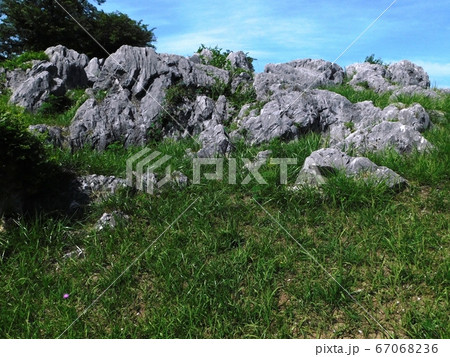 新緑の秋吉台「展望台から台観園を望む」 新緑の秋吉台「展望台から台観園を望む」 67068236