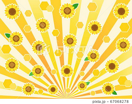 バックグラウンド67 放射 効果線 ヒマワリ バックグラウンド67 放射 効果線 ヒマワリ 67068278