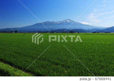 山形　初夏　田園風景と鳥海山 67068441