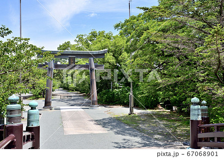 柳川市　三柱神社の鳥居 67068901