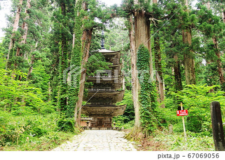 山形　出羽三山　羽黒山の杉並木の参道　五重塔 67069056