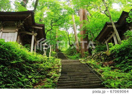 山形 出羽三山 羽黒山の杉並木の参道 山形 出羽三山 羽黒山の杉並木の参道 67069064