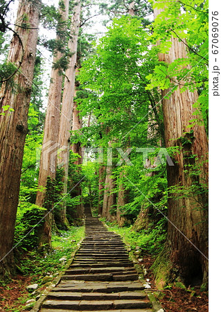 山形　出羽三山　羽黒山の杉並木の参道　 67069076