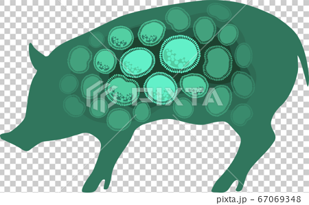 豚 家畜 養豚 感染症 イメージ - グリーン 67069348