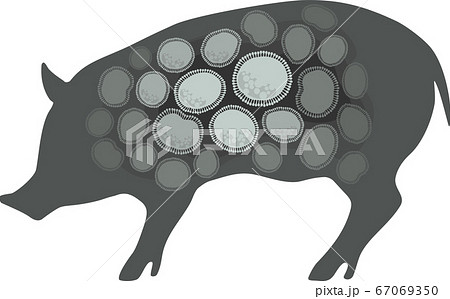 豚 家畜 養豚 感染症 イメージ グレーのイラスト素材 豚 家畜 養豚 感染症 イメージ グレーのイラスト素材