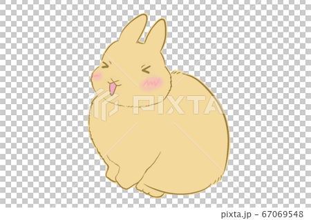 可愛的兔子的插圖 67069548