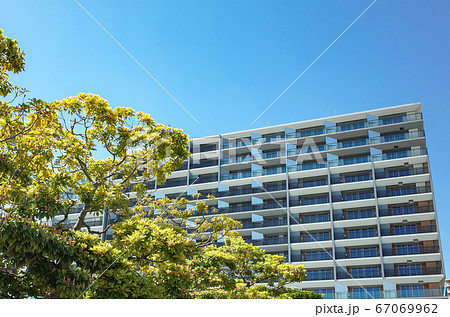 晴海の選手村マンション  67069962