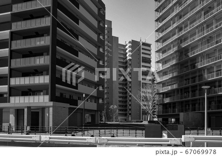晴海の選手村マンション群  67069978