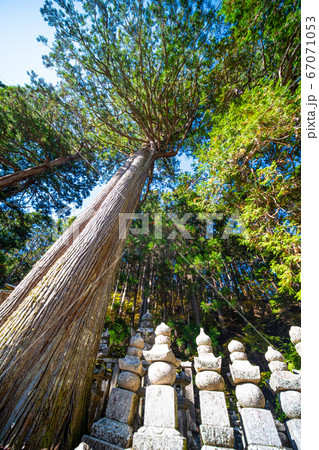 高野山 奥の院 67071053