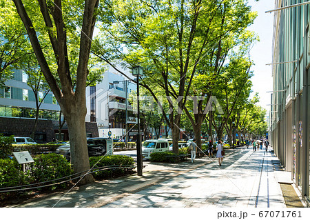 (東京都-都市風景)新緑の表参道風景9 (東京都-都市風景)新緑の表参道風景9 67071761