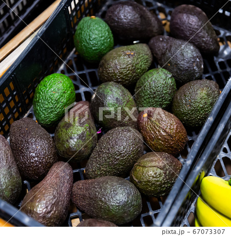 Avocados on market counter Avocados on market counter 67073307