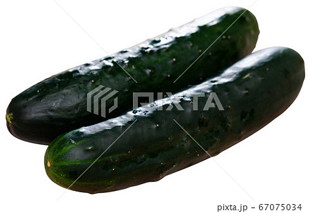 Fresh green cucumbers Fresh green cucumbers 67075034