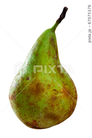 Green pear 67075376