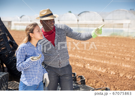 Woman and man farmers talking outdoors 67075863